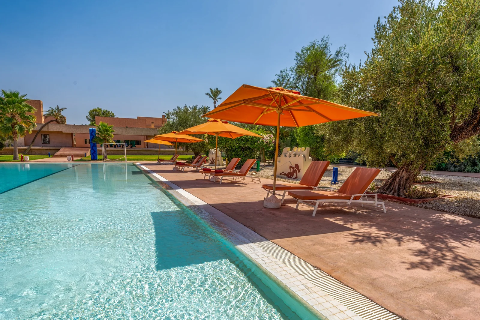 Loungers by the pool